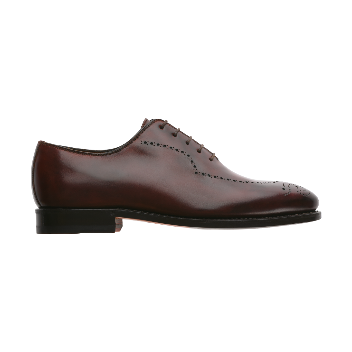 Bontoni "Caruso" Five-Eyelet Wholecut Balmoral with Perforated Details and Medallion - SARTALE