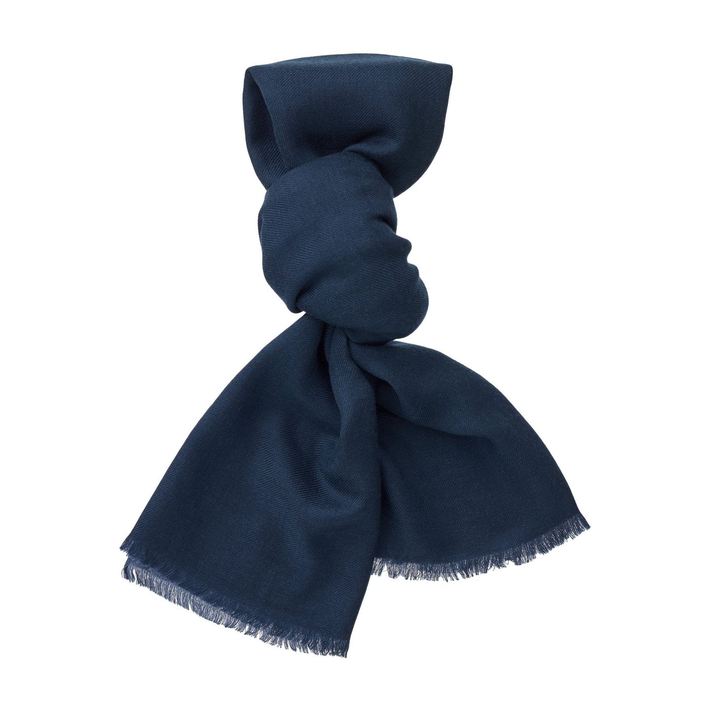 Loro Piana Reversible Fringed Cashmere and Silk-Blend Scarf in Blue - SARTALE