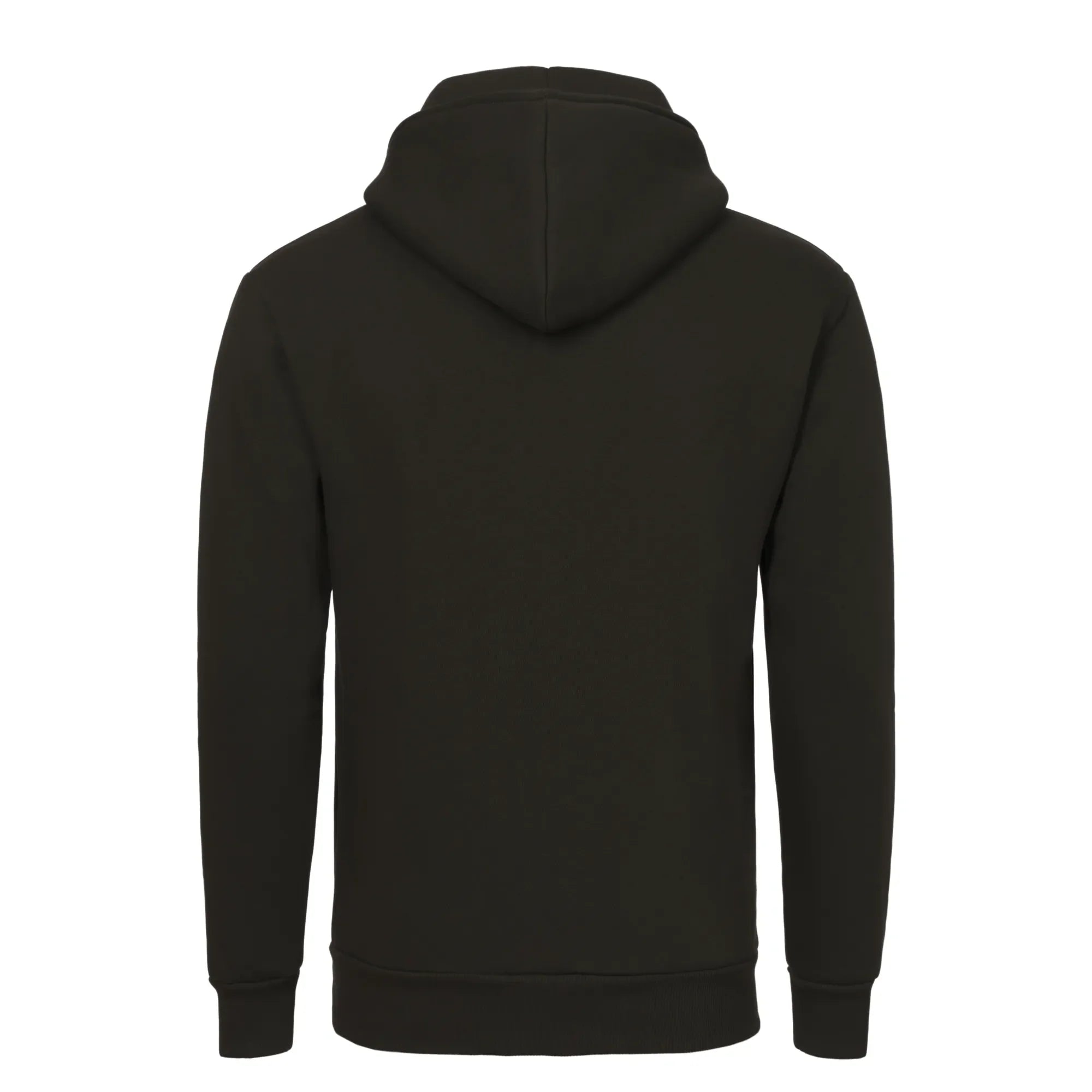 Hooded Sweatshirt in Green