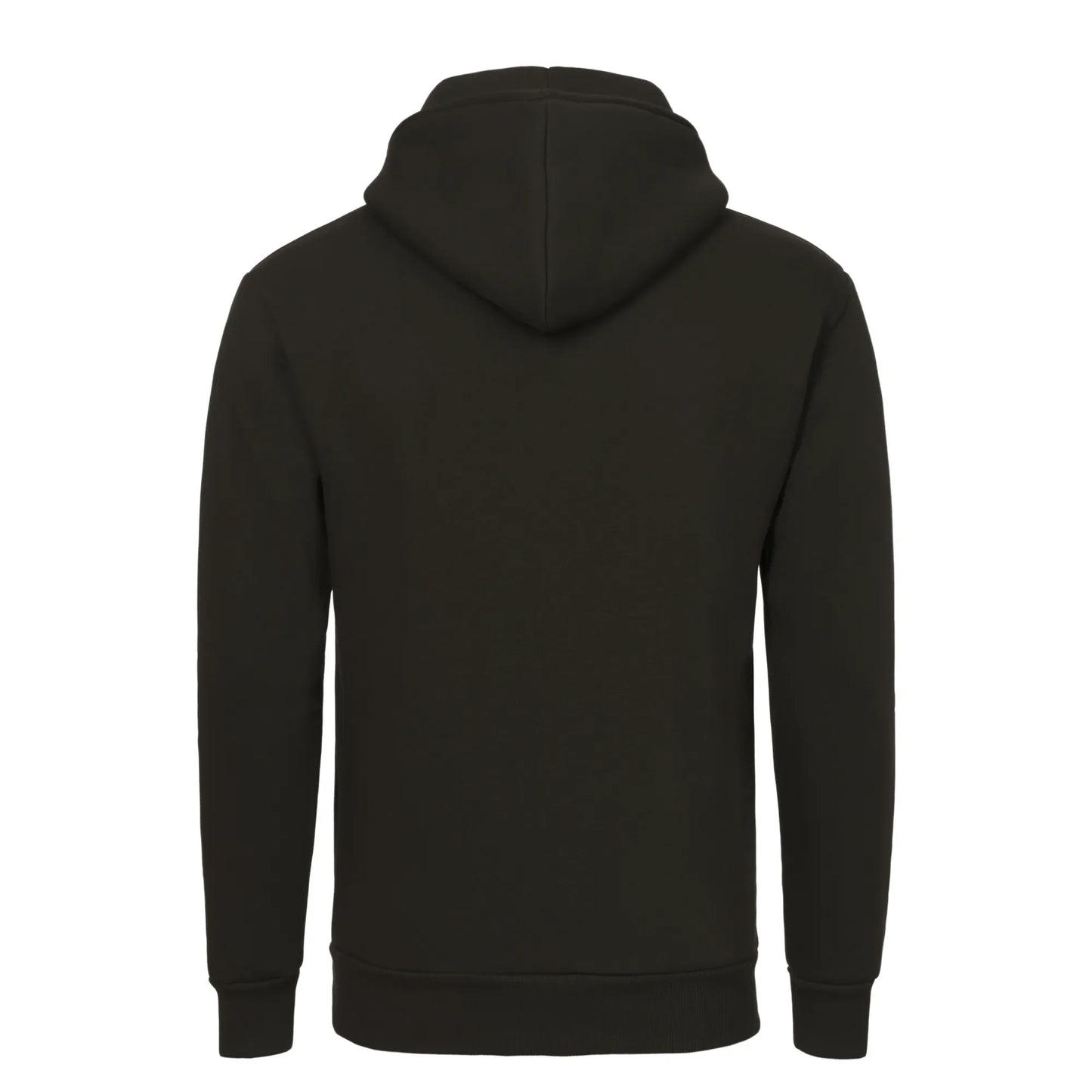 Hooded Sweatshirt in Green