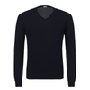 V-Neck Long Sleeve in Blue